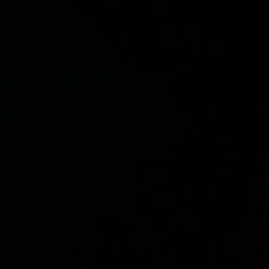 Meet your Posher, Octavia